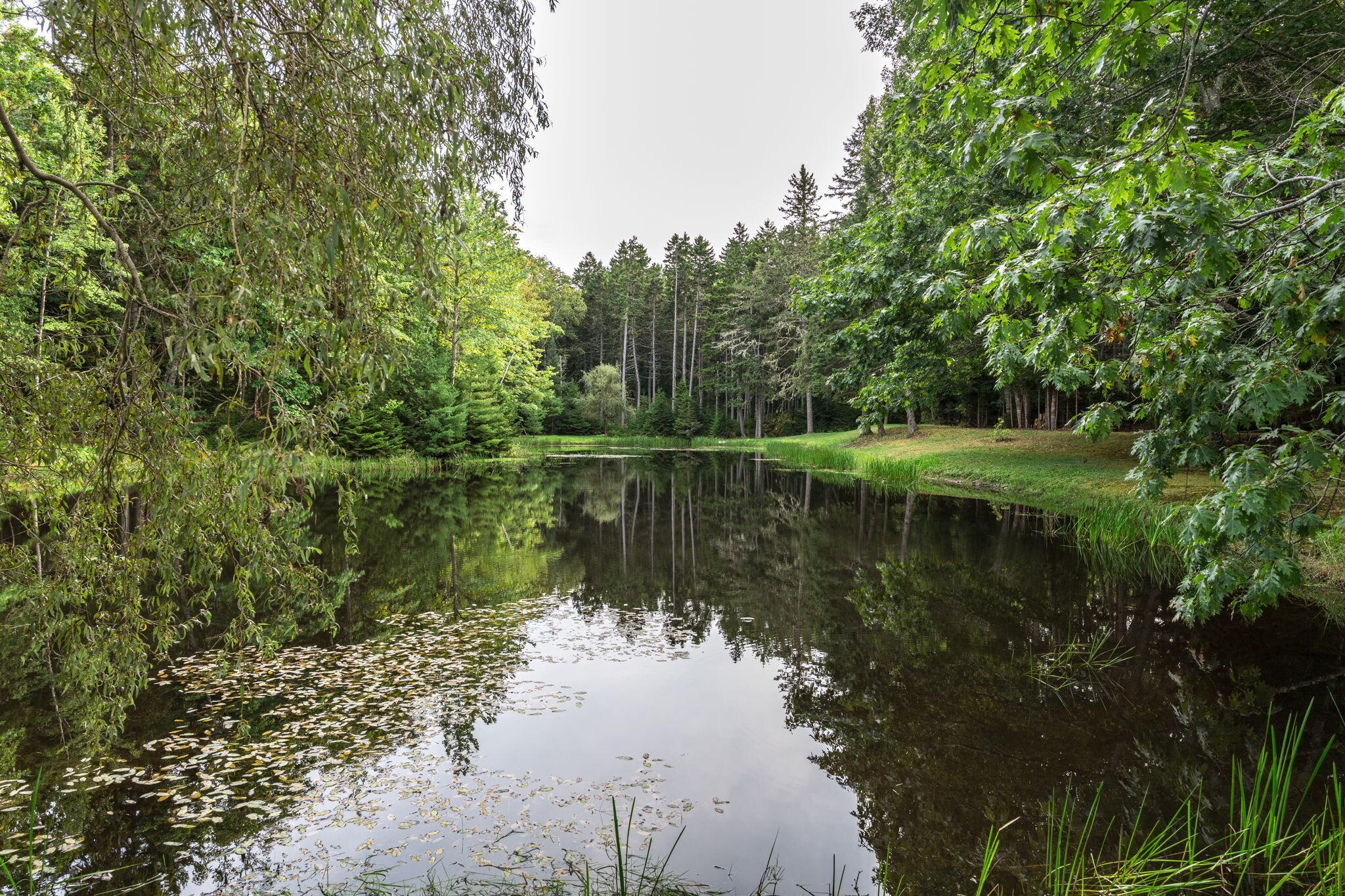 31 Harbor Road Brooksville, ME 04617 - Photo 114 of 126 Tranquil Freshwater Pond