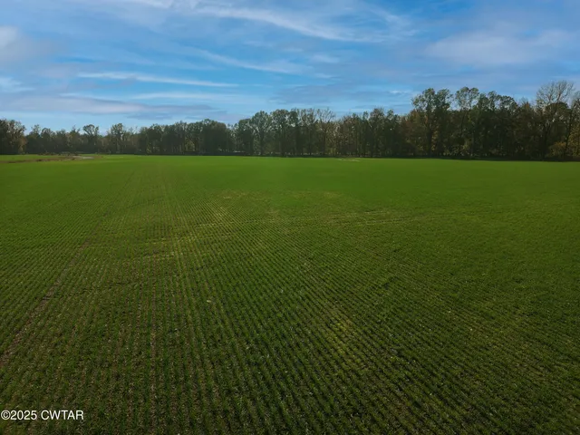 a view of an ocean and yard