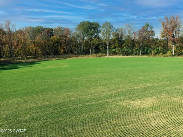 a view of a green field with trees