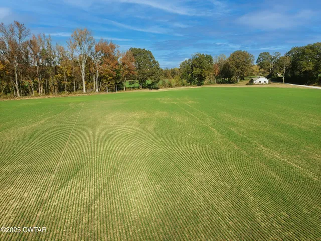 a view of a field with an trees