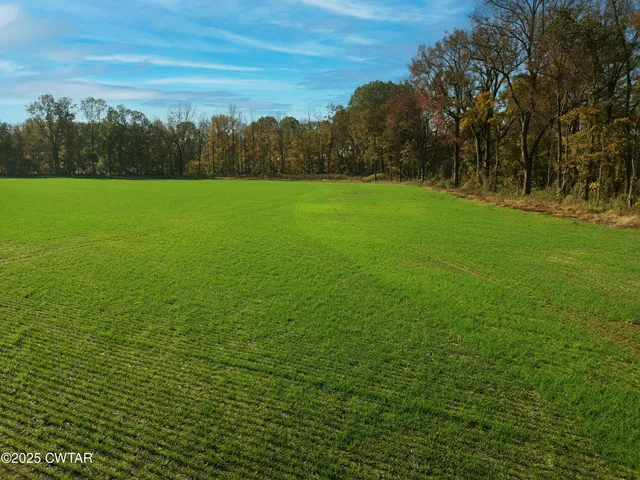 a view of a field with an trees