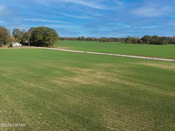 a view of a field with an ocean