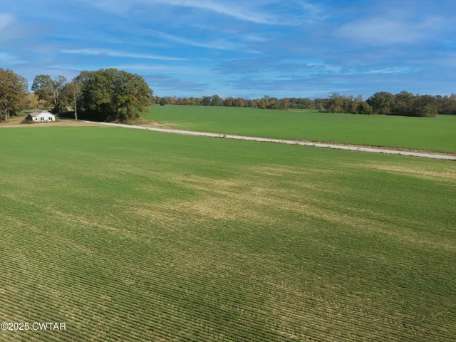 a view of a field with an ocean