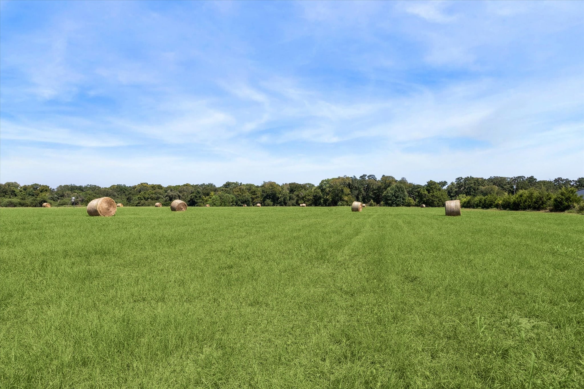 1 Klaus Lane Pattison, TX 77423 - Photo 11 of 12 a view of a green field with clear sky