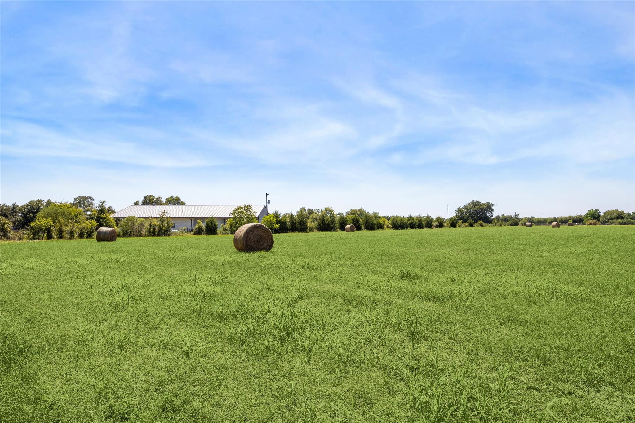 1 Klaus Lane Pattison, TX 77423 - Photo 9 of 12 a backyard of a house with lots of green space