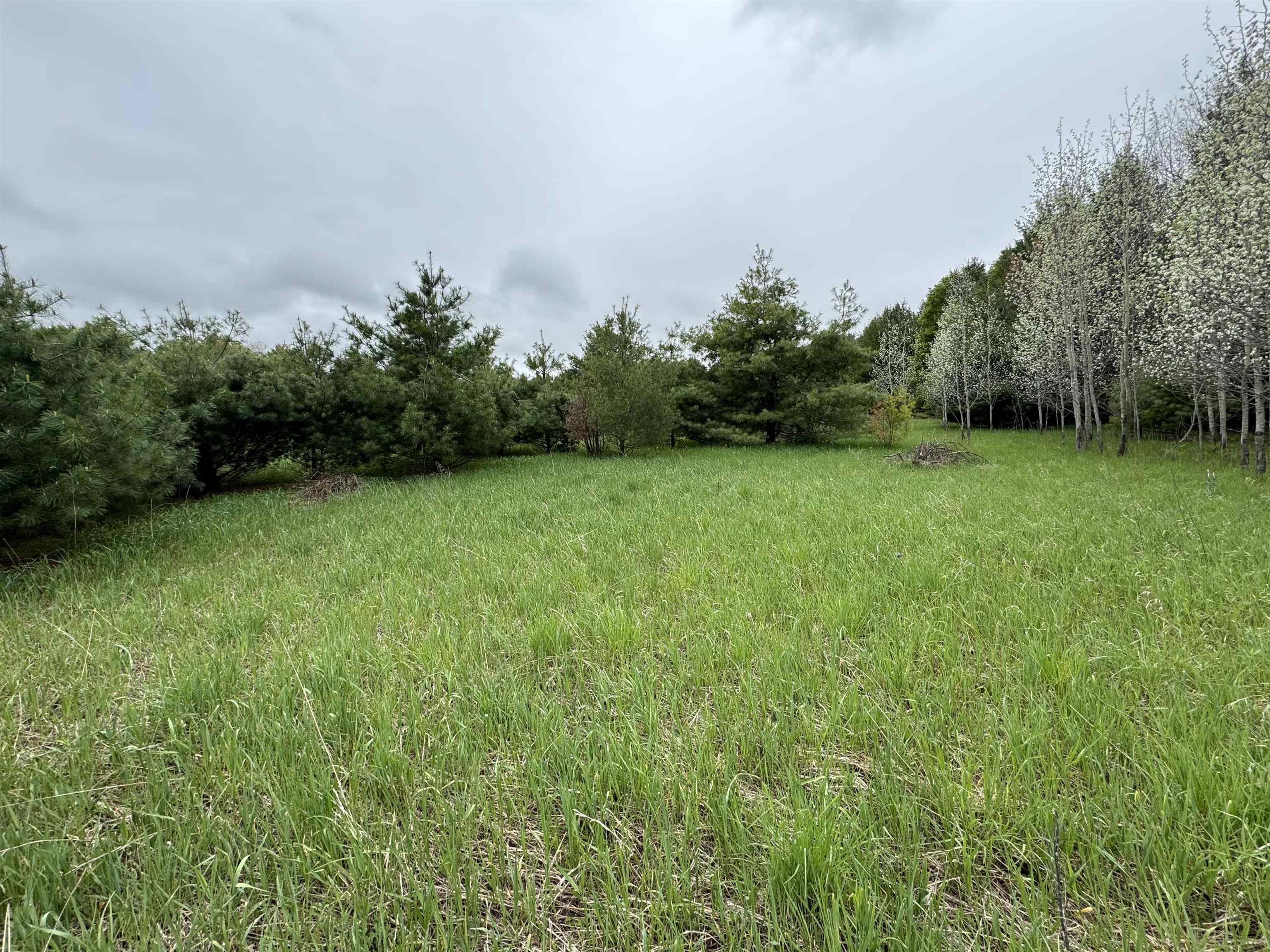 Lot #7 East Bellinger Road, Unit E HIGHLAND WOODS BELLIN Cedar, MI 49621 - Photo 9 of 20
