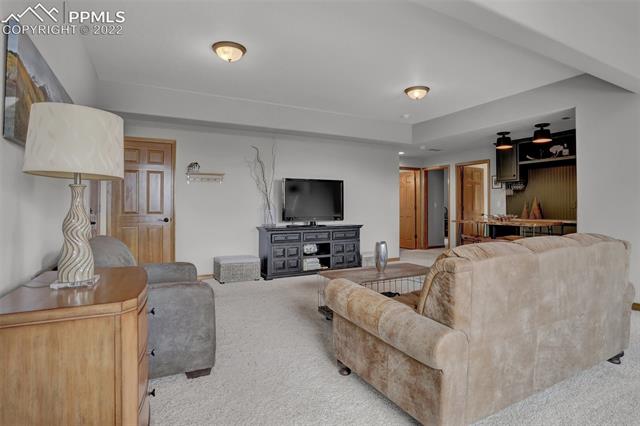 630 Homestead Road Divide, CO 80814 - Photo 41 of 50 Lower Level Family Room!