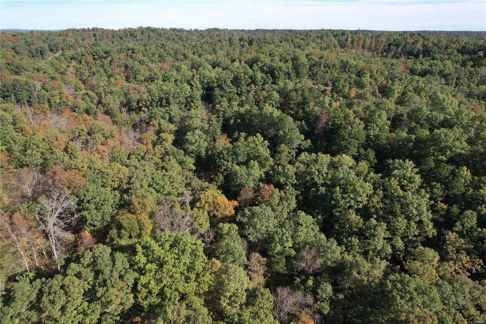 300 County Road 244, Fredericktown, MO 63645 Compass