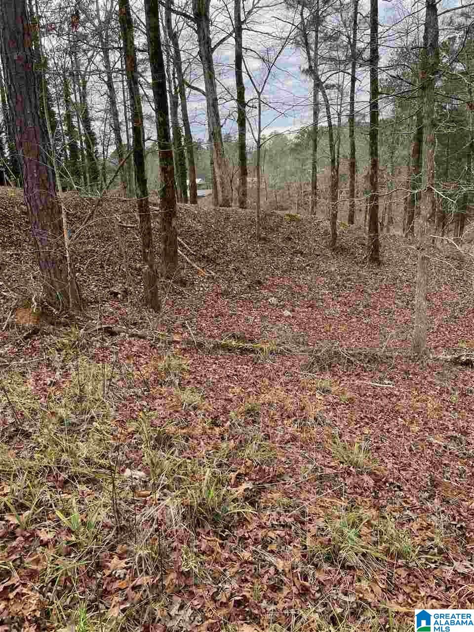 391 Amanda Lane Shelby, AL 35143 - Photo 6 of 9