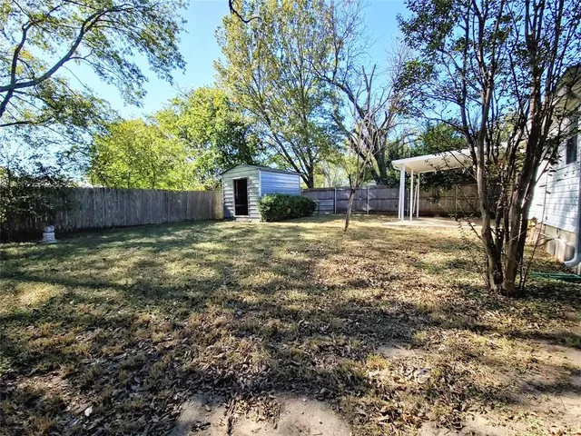 a view of a yard with a large tree