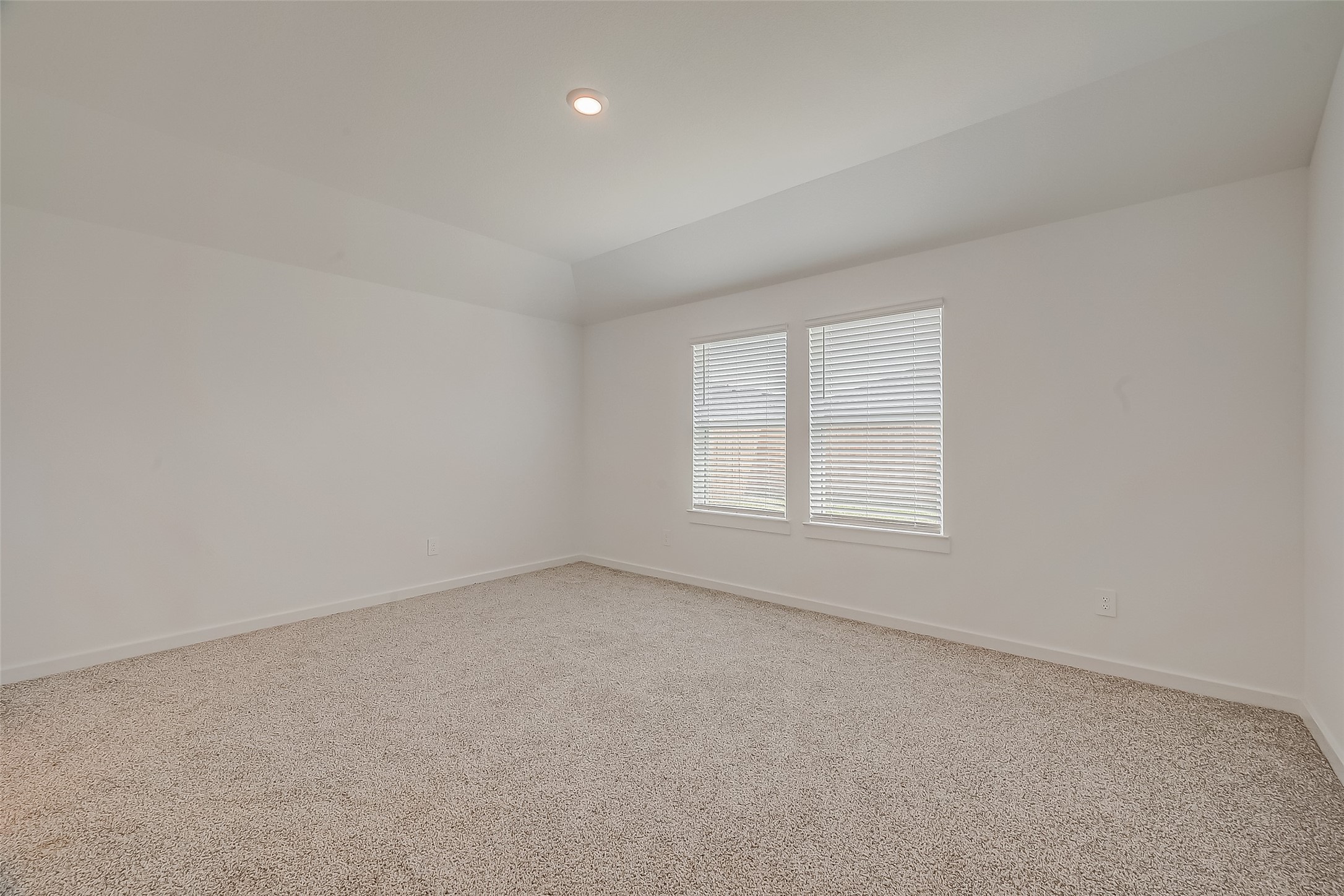 1018 Fringed Bluestar Drive Rosharon, TX 77583 - Photo 34 of 47