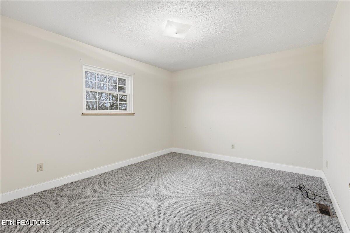 10050 Rutledge Pike Corryton, TN 37721 - Photo 12 of 20 10-012_7K9A2190