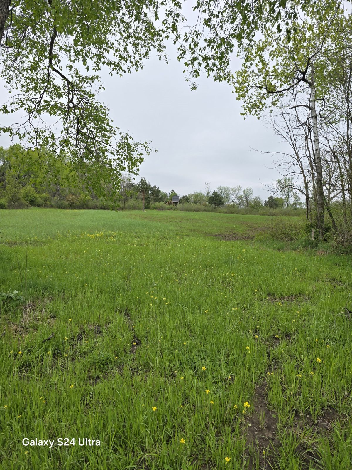 10559 Millbrook Road Blanchard, MI 49310 - Photo 25 of 99