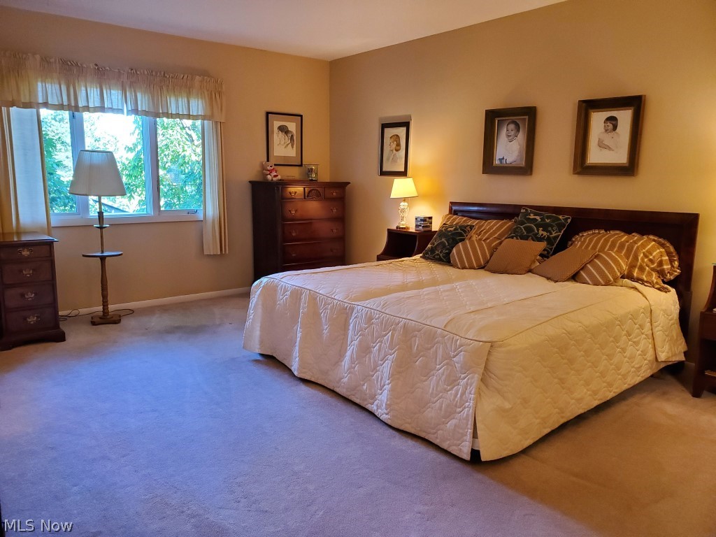 3701 Mayfield Road, Unit 212 Cleveland Heights, OH 44121 - Photo 13 of 19 Gallery Image 13