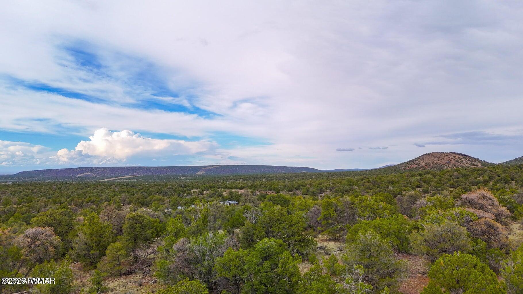 132 East Sidewinder Road Williams, AZ 86046 - Photo 9 of 14