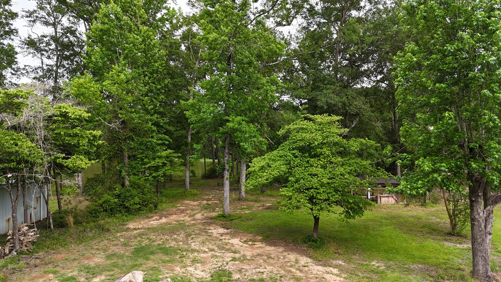0 Hudspeth Drive Abbeville, AL 36310 - Photo 7 of 15