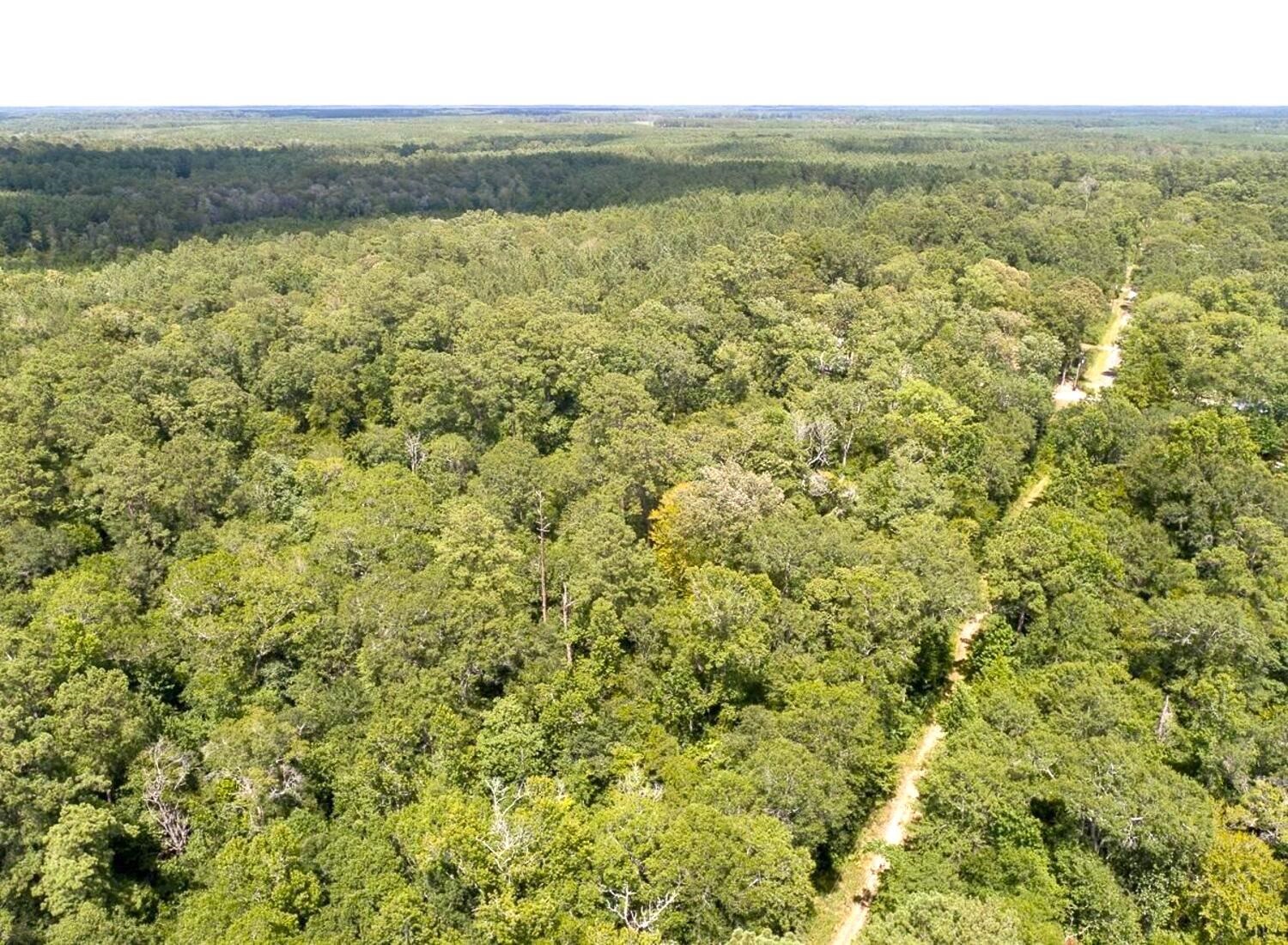 2580 Co Road Silsbee, TX 77656 - Photo 28 of 28