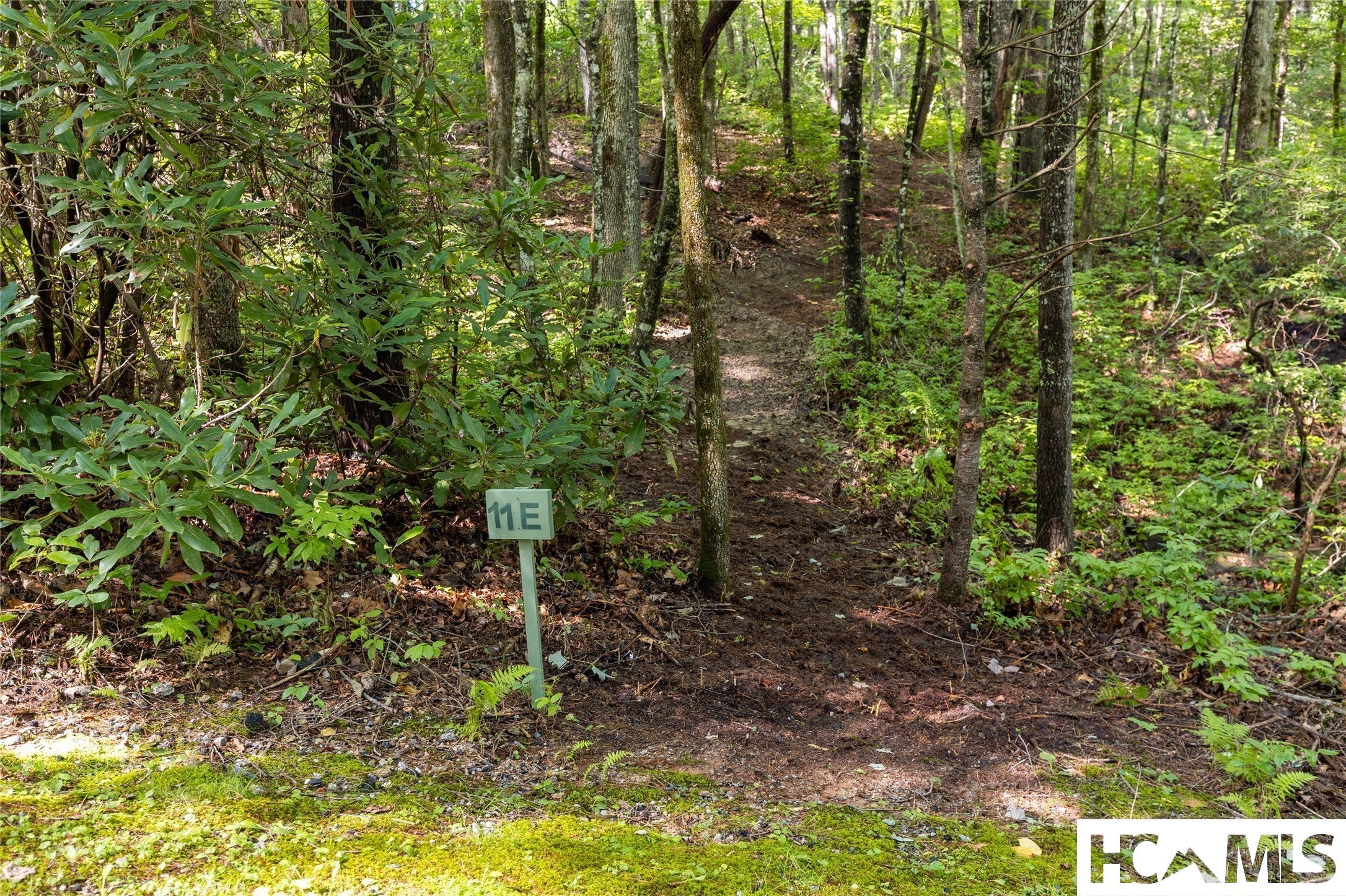 11-er Beaver Dam Road Sapphire, NC 28774 - Photo 5 of 45 Gallery Image 5