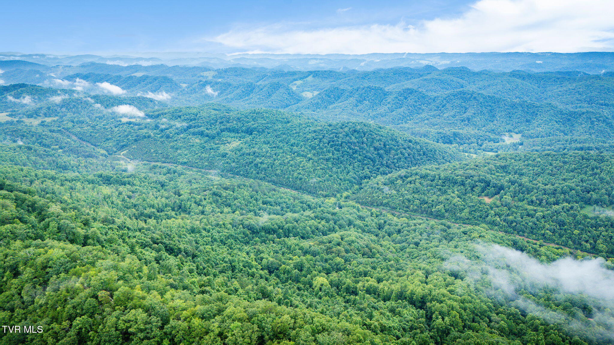 Tbd Clinch Mountain Road Eidson, TN 37731 - Photo 2 of 46 111