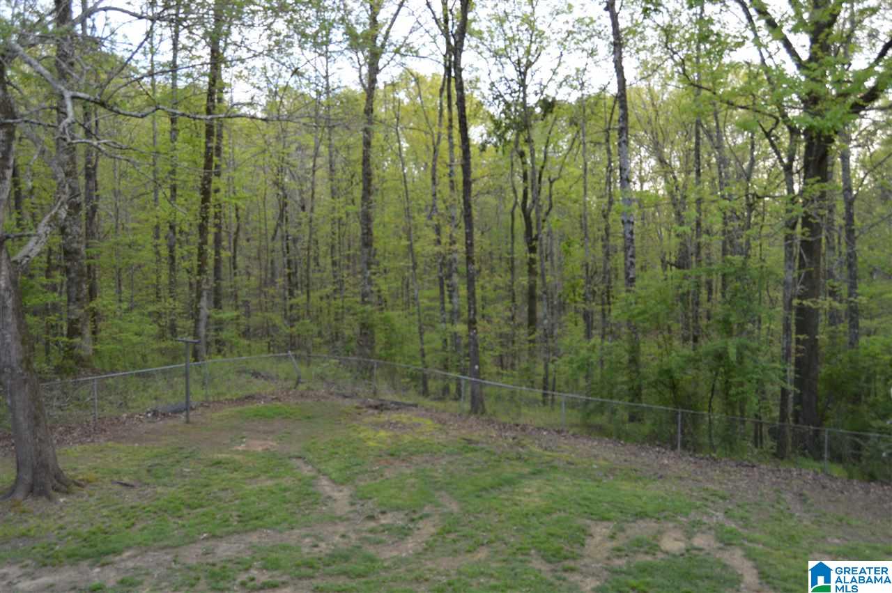 11100 Highway 31 Warrior, AL 35180 - Photo 46 of 47