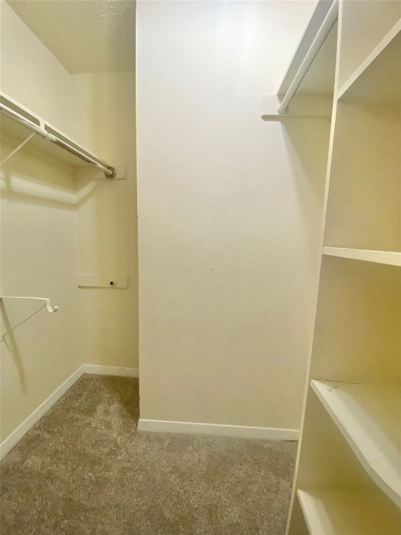 2216 San Gabriel Street, Unit 304 Austin, TX 78705 - Photo 9 of 24 Spacious closet with carpet flooring