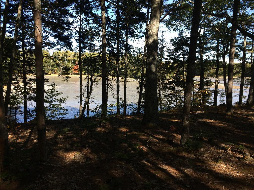500 Gross Neck Road Waldoboro, ME 04572 - Photo 11 of 18 Photo