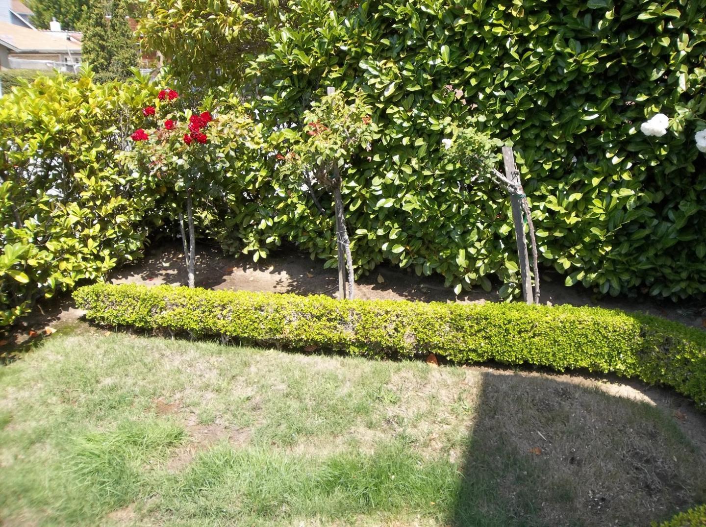 Broadway Burlingame, CA 94010 - Photo 6 of 21 a view of a yard with plants and trees