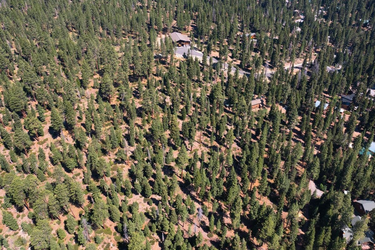3600 Dinah Road Carnelian Bay, CA 96140 - Photo 26 of 26
