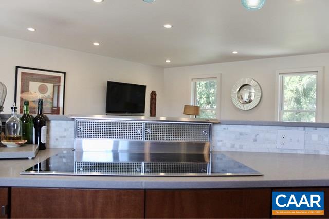 772 Tilman Road Charlottesville, VA 22901 - Photo 10 of 45 a living room with a fireplace and a flat screen tv