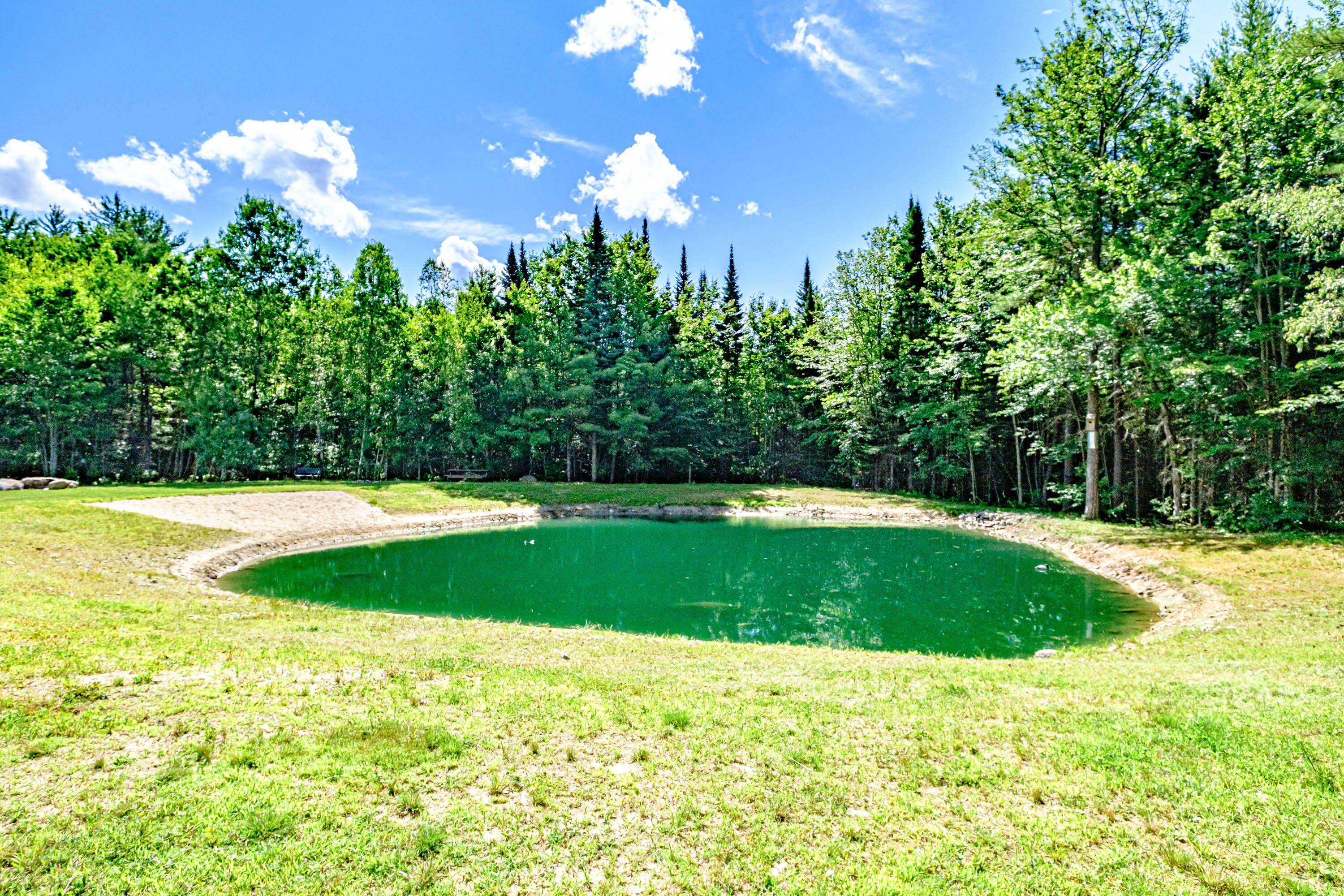 244 South Effingham Road West Newfield, ME 04095 - Photo 41 of 48 20220708gp-60055