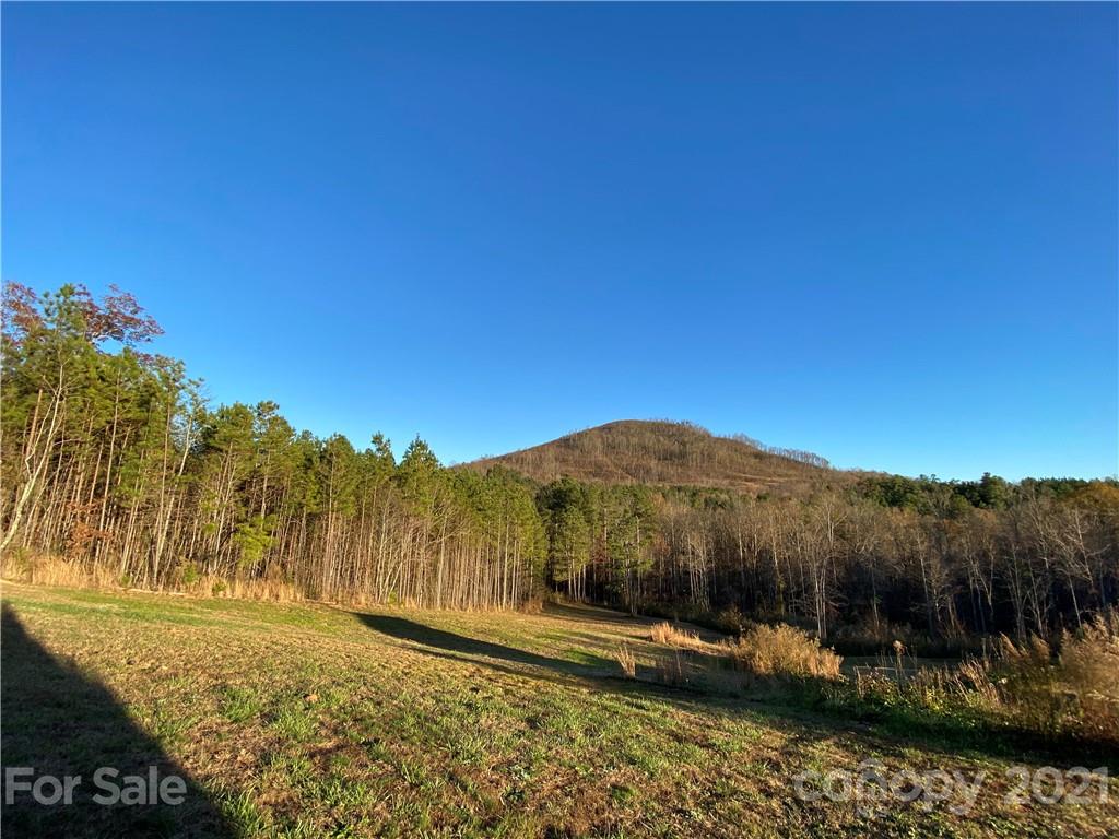 402 Pilot Ridge Road, Unit 13 Nebo, NC 28761 - Photo 13 of 32 a view of a back yard