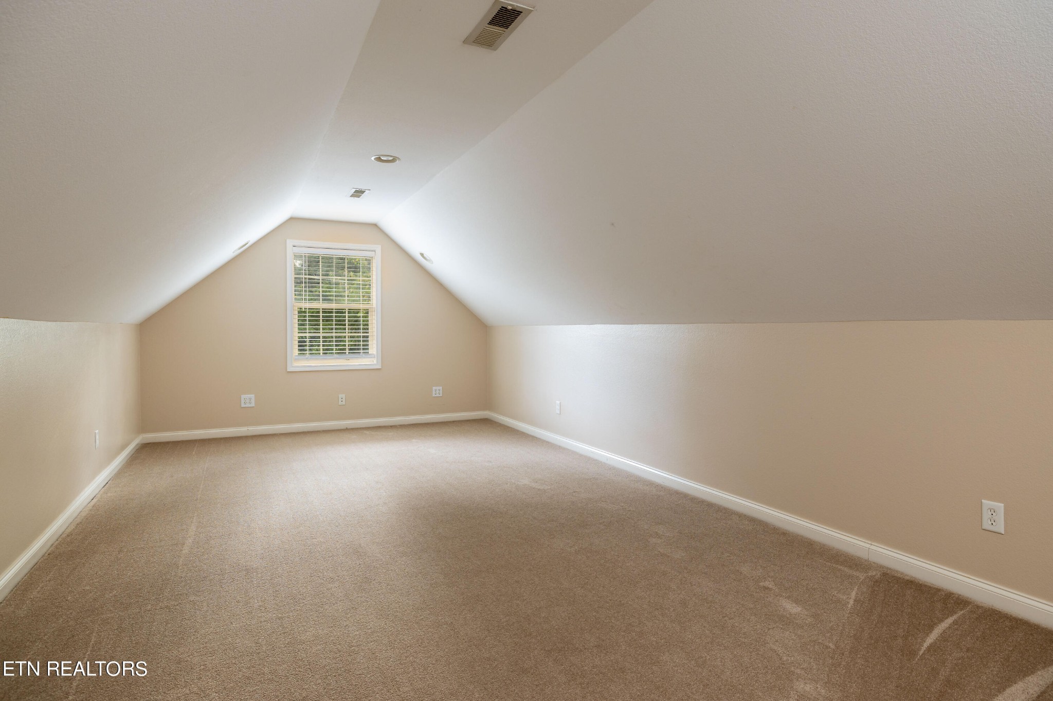 206 Boat Gunnel Road Townsend, TN 37882 - Photo 13 of 42 Gallery Image 13