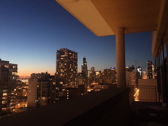 212 East Cullerton Street, Unit PH10 Chicago, IL 60616 - Photo 18 of 19