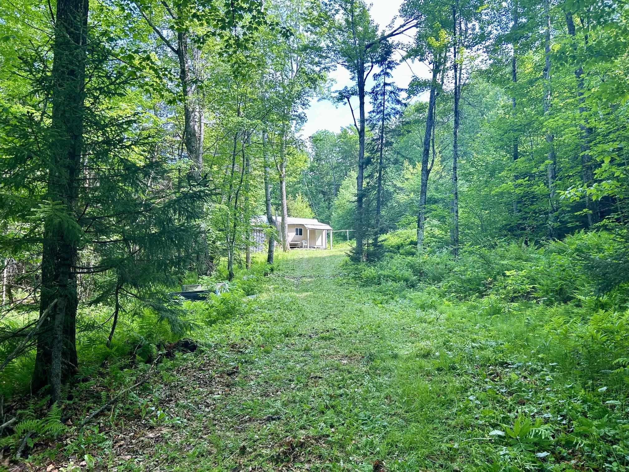 0 Williamstown Road Chelsea, VT 05038 - Photo 1 of 22