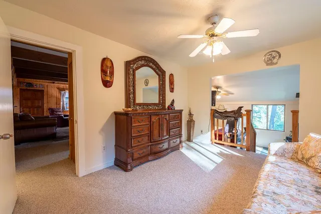 a backyard of a house with plants and large tree