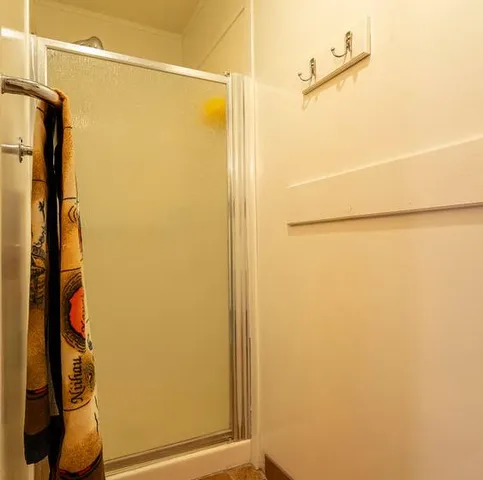 a view of a yard with plants and large trees