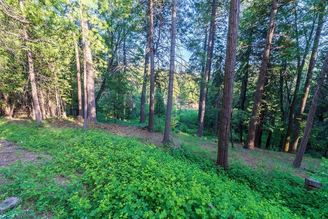 $449,000 | 34348 East Towle Road, Alta, CA 95701