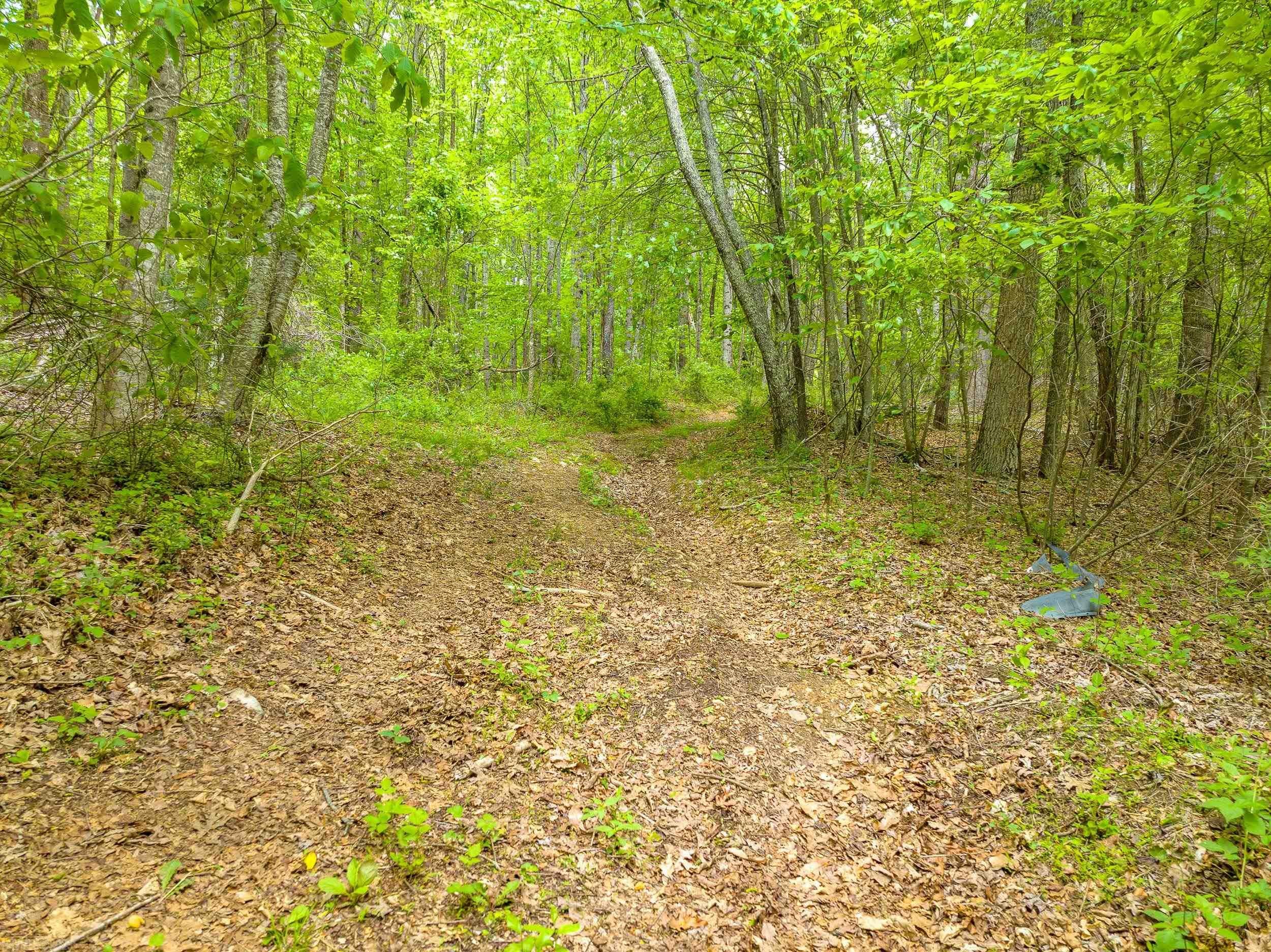 Tbd Apache Road Woodlawn, VA 24381 - Photo 17 of 48 Gallery Image 17
