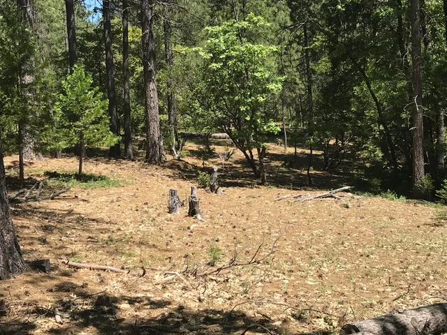 a view of a yard covered in snow