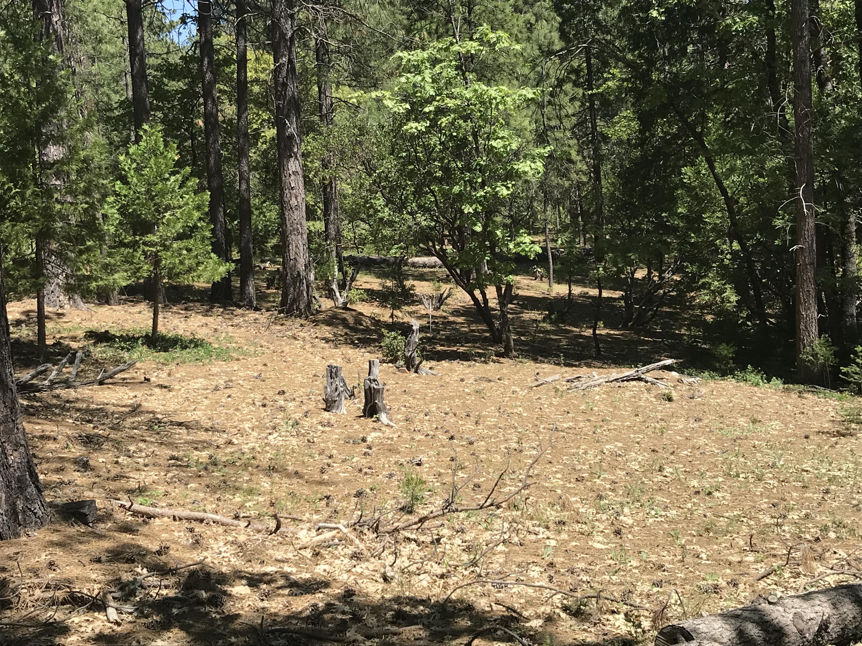 a view of a yard covered in snow