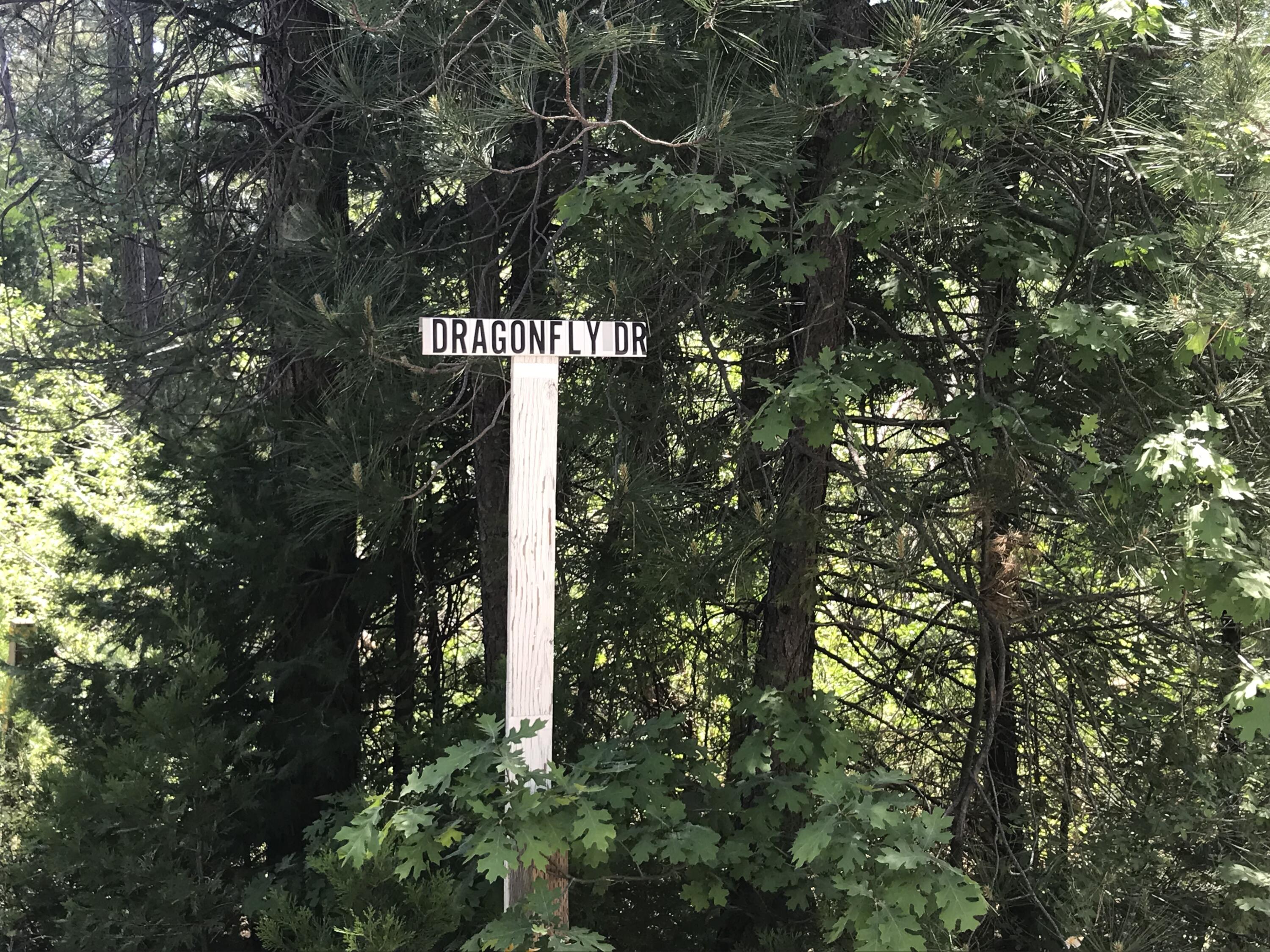 Phillips Road Oak Run, CA 96069 - Photo 15 of 16