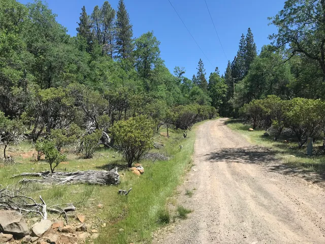 a view of backyard with green space