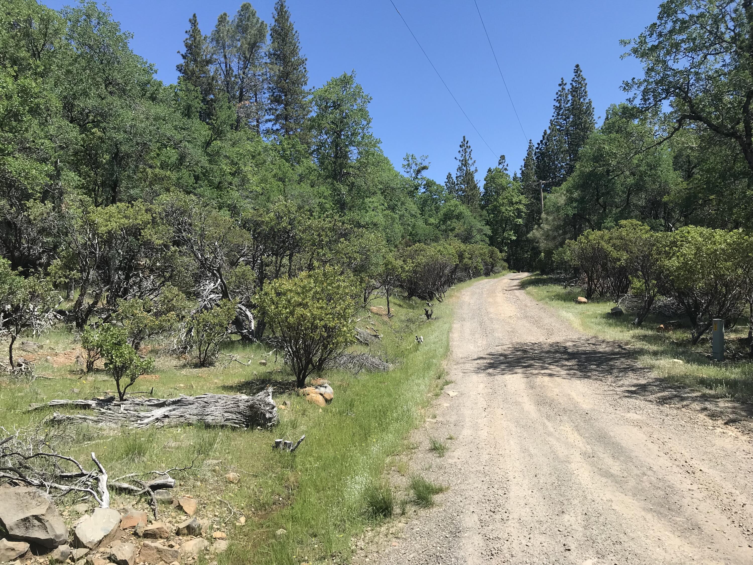 Phillips Road Oak Run, CA 96069 - Photo 2 of 16 a view of backyard with green space