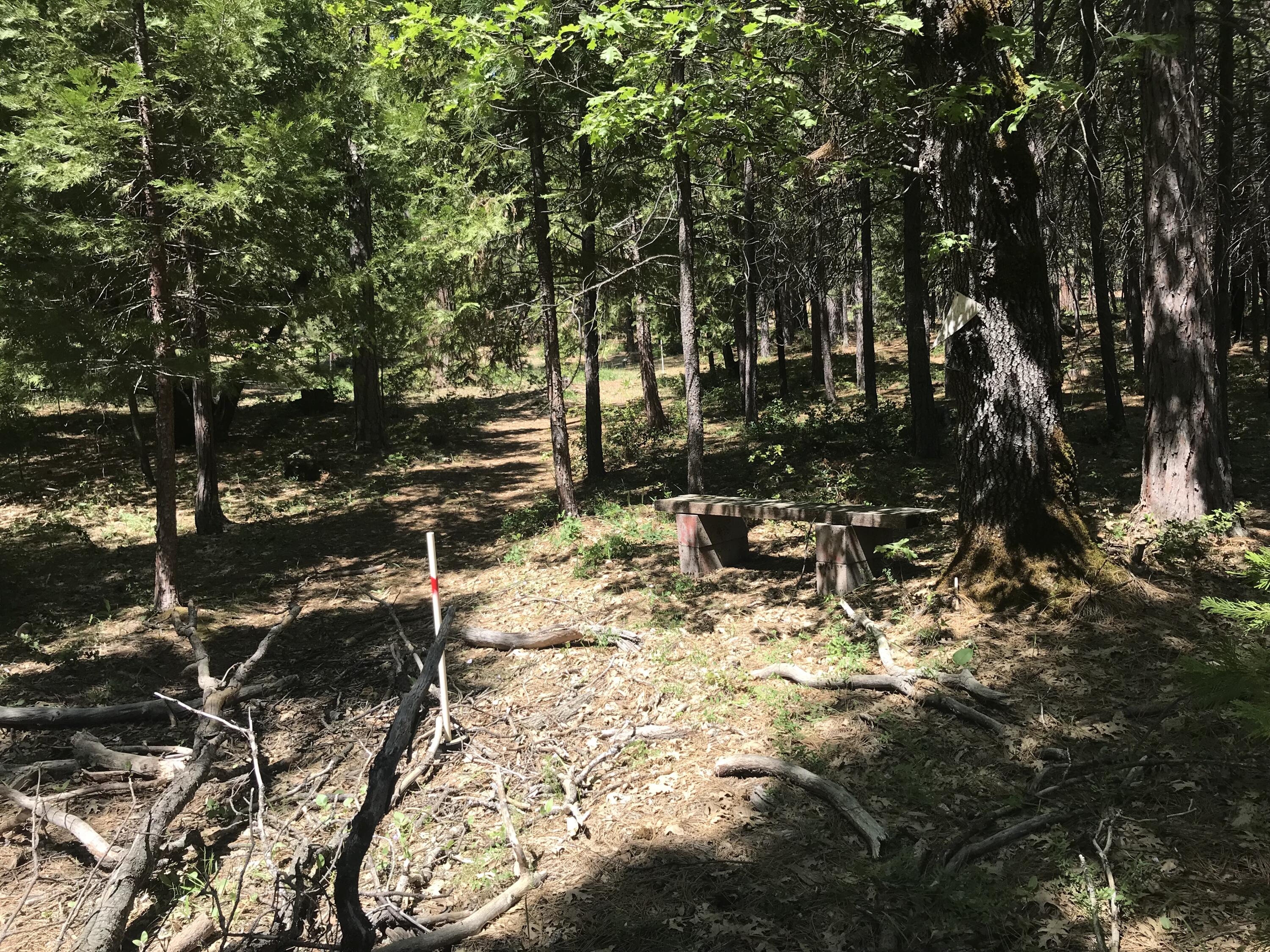 Phillips Road Oak Run, CA 96069 - Photo 5 of 16 a view of outdoor space with sitting area