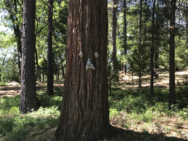 a view of a garden from a balcony
