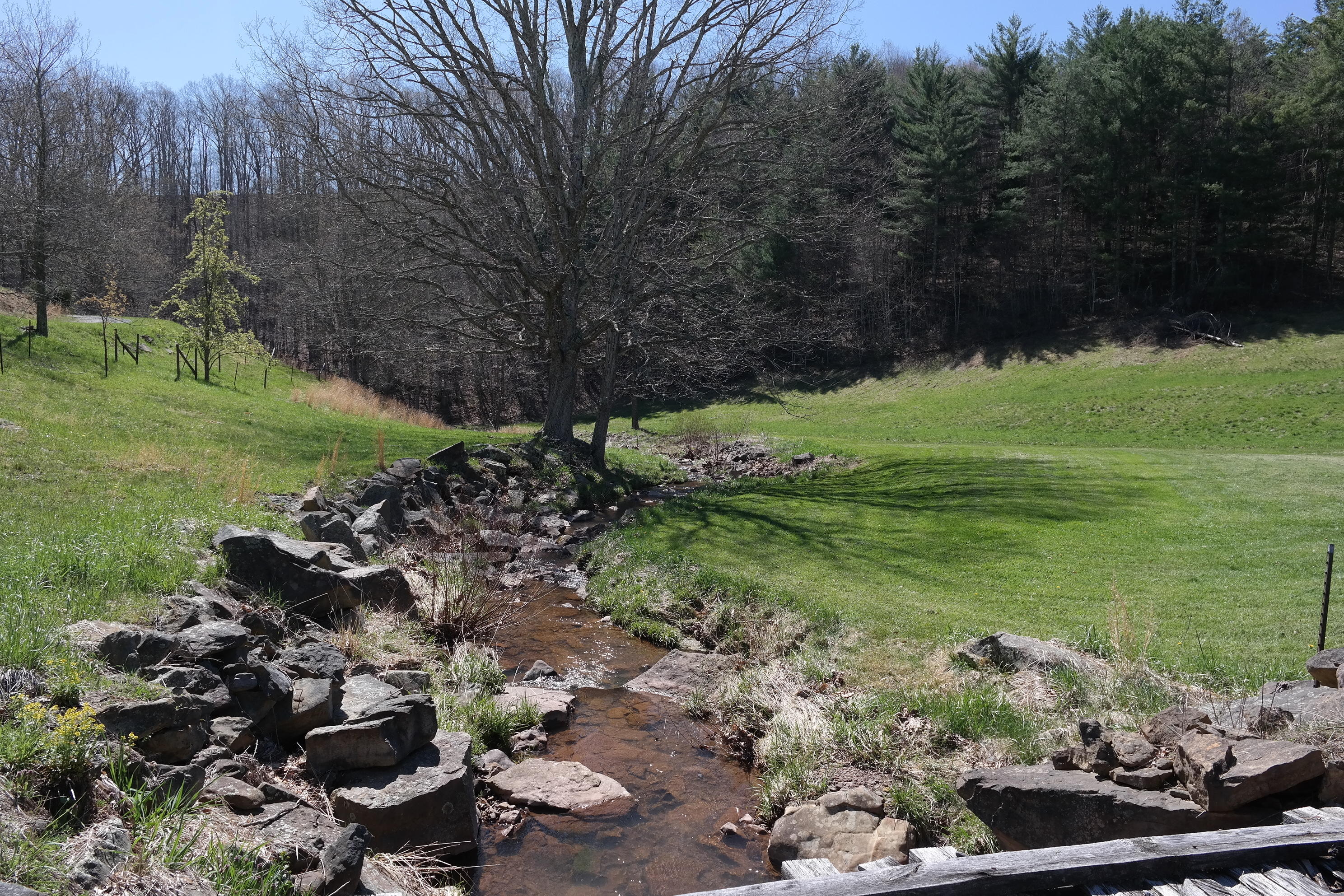 3678 Snake Run Road Alderson, WV 24910 - Photo 15 of 124 Gallery Image 15