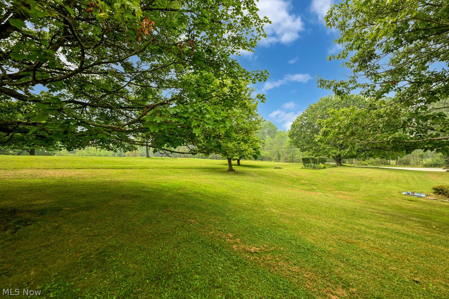 4457 Bagdad Road Medina, OH 44256 - Photo 42 of 49 Gallery Image 42