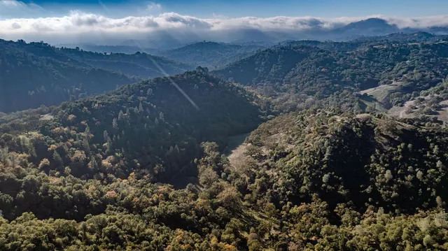 a view of a backyard with green space