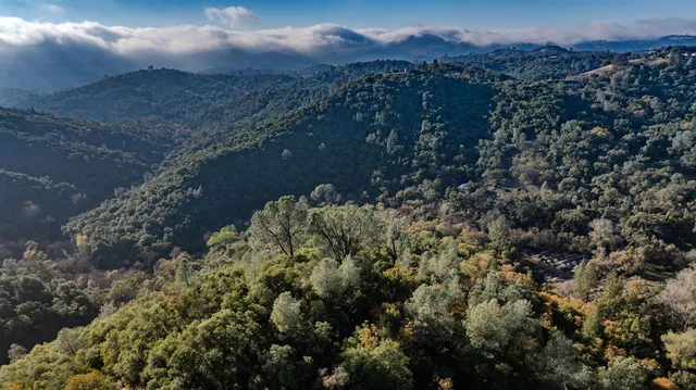 a view of a pathway with a field