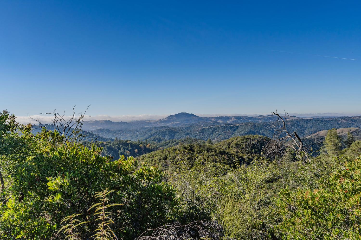 71 Hawver Road San Andreas, CA 95249 - Photo 23 of 96 a view of a lush green space with a mountain in the background